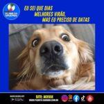 Sabe aquela música que faz o coração sorrir?